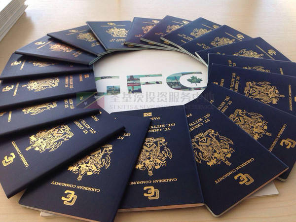 圣基茨移民快速通道:3个月拿圣基茨护照