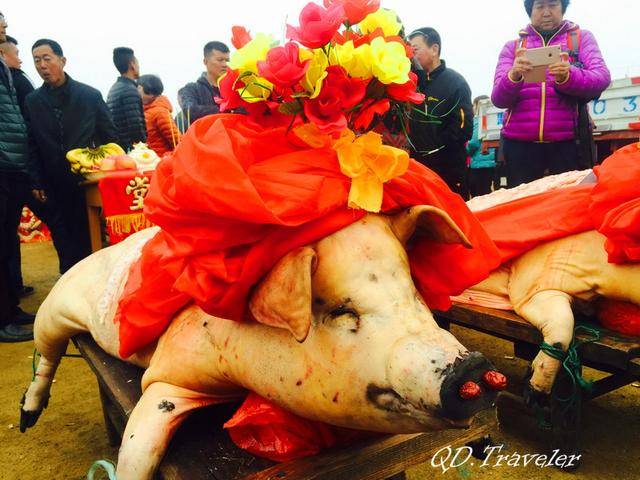 2016即墨田横祭海节:三里红炮,三牲成排