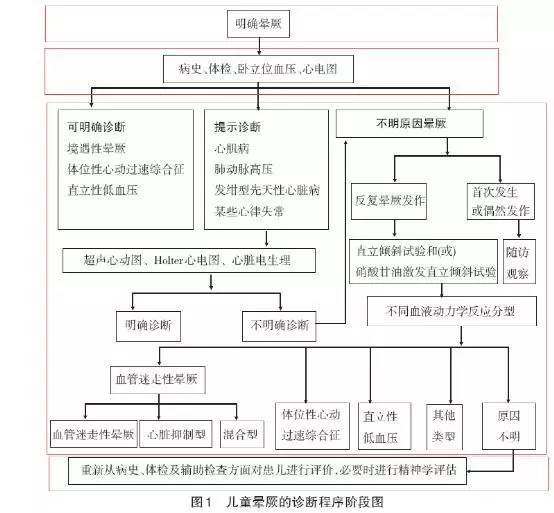 图注:图中在四个红色图框将流程自上而下分为四部分,分别代表儿童晕厥