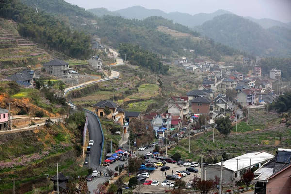 时间:3月22日(星期二)上午9:00 地点:新登镇半山村新村委大楼广场