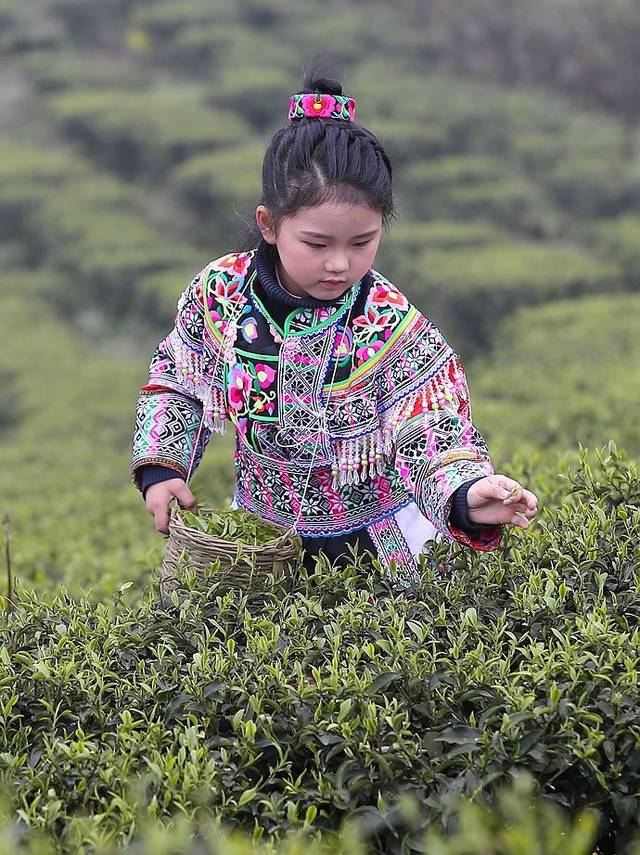 漂亮的苗家小姑娘.