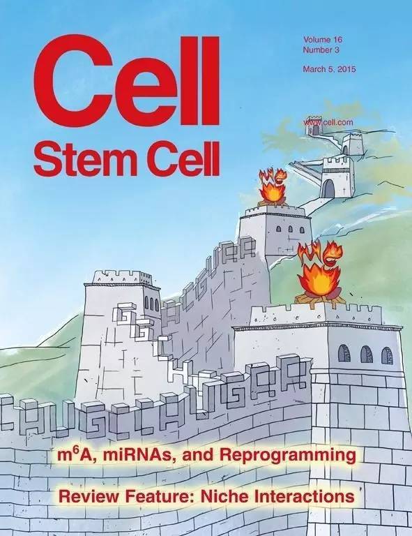 大圣,你为什么会在顶级学术期刊Cell的封面