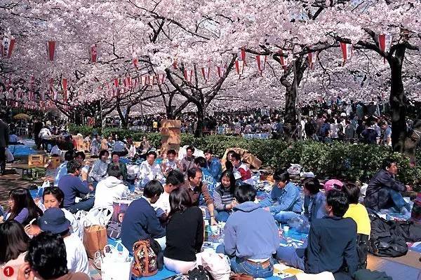 5780元/人;日本樱花节,错过再等一年