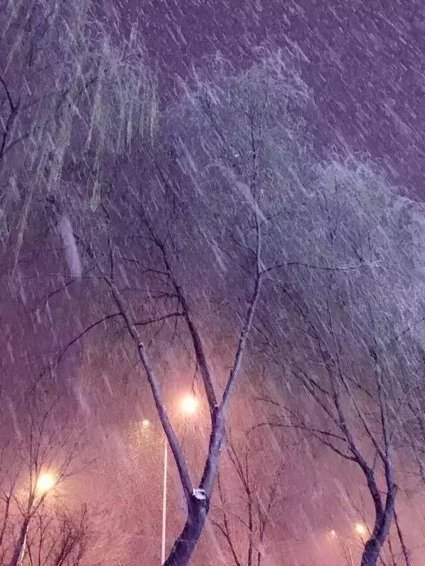 太原的春天,打雷又下雪,