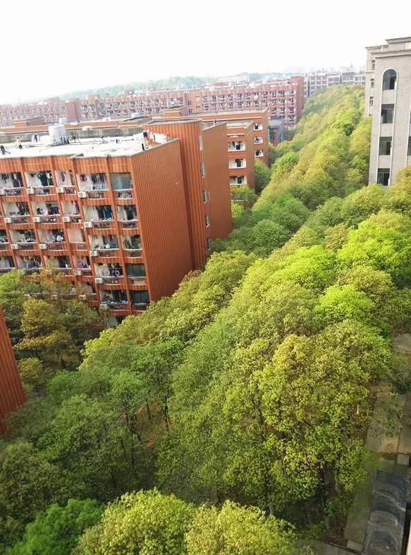 长沙医学院