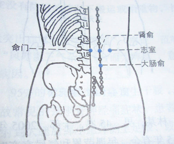 3,大肠俞