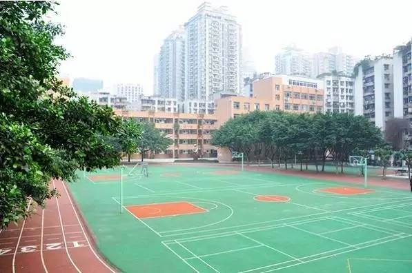 重庆市小学赞助费排行重庆小学排名