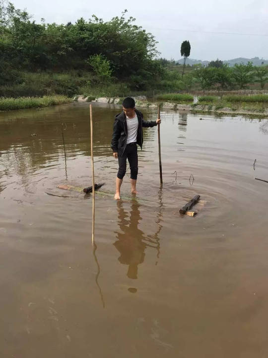 最全宜宾钓龙虾,讨樱桃,摘枇杷,吃野per,4月游玩攻略一条消息就够了!