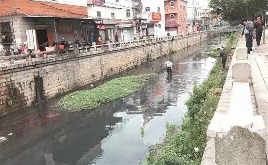 太残忍泉州内沟河惊现女尸尸块头颅四肢都被砍下了