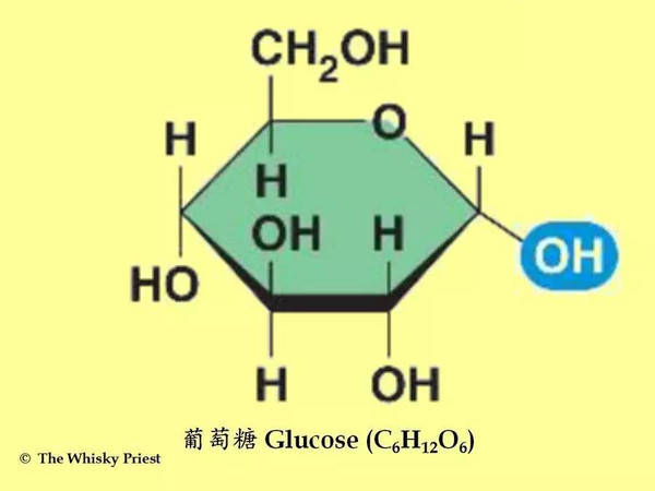 ▼一个果糖与一个葡萄糖分子结合在一起产生的双糖,称为 "蔗糖