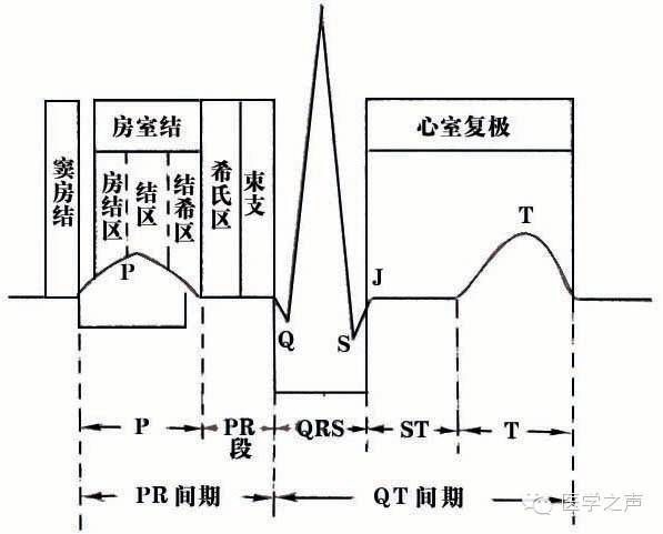 心电图课堂|第1期:每