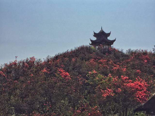 穿过好风水的龙泉山寺,又是繁花世界.