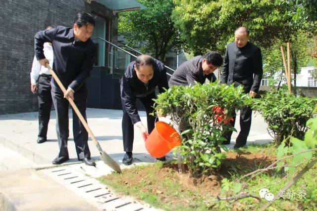 在浉河港文新茶叶加工园内,刘金志书记与尹晋华书记一行一起栽种茶树