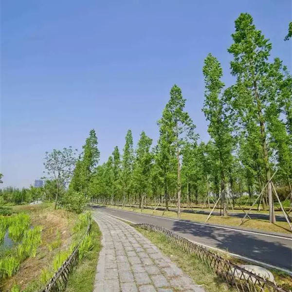 上秦淮湿地公园