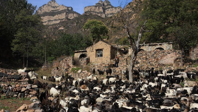 中国人口最少的村子,全村仅有9人,房屋破烂不