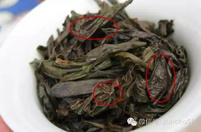 "蛤蟆背"与岩茶品质到底有何惊人的联系?