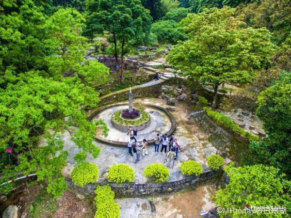 五一去哪玩?揭西龙山油桐花