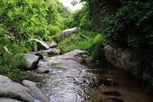 想马河生态区位于河南省平顶山市鲁山县尧山镇想马河村境内,距鲁山