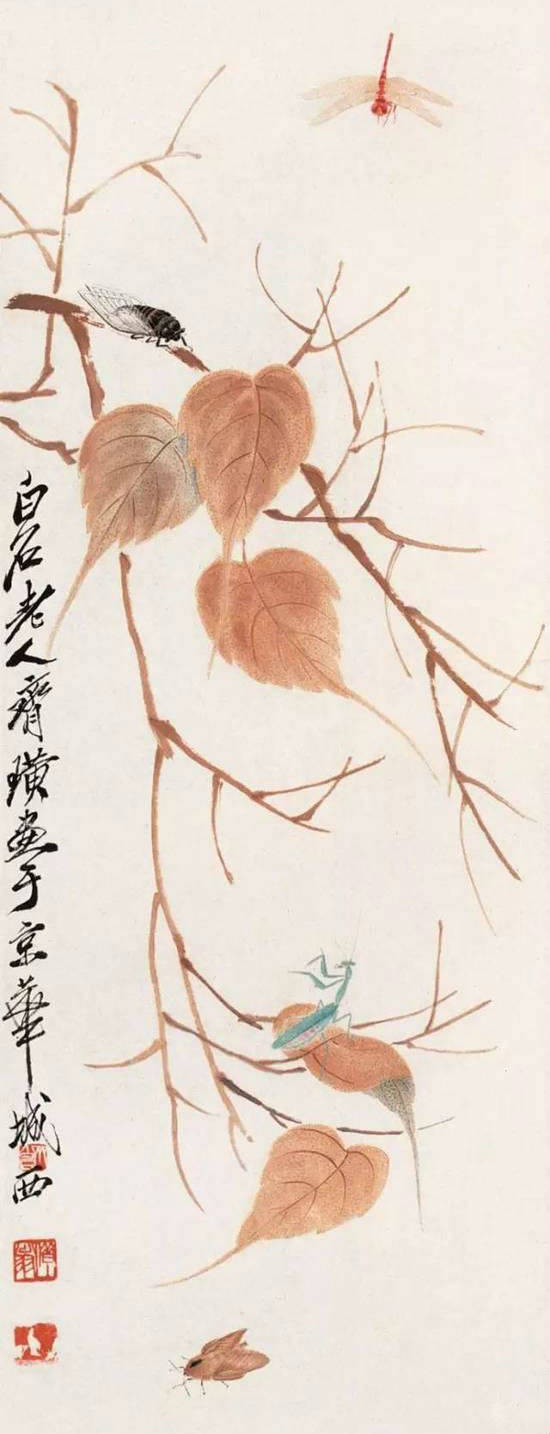 齐白石大师画蝉