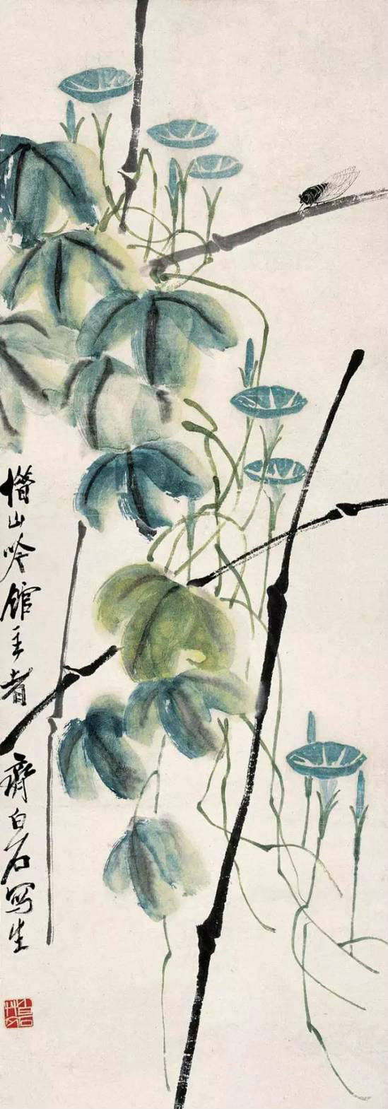 《芋叶海棠》