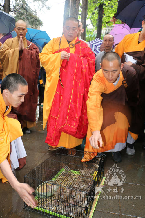 少林寺举办浴佛节大法会 纪念佛祖诞辰2560周年