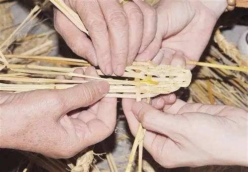 用稻草呈十字叠加编织鳞片