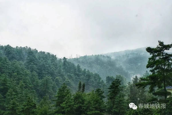 庄浪盘龙山人口_庄浪紫荆山公园图片(2)