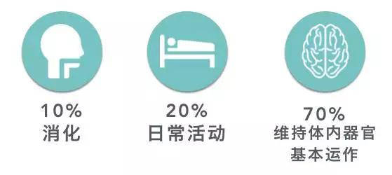 减脂期间,你要吃多少?如何提高你的身体代谢率