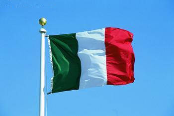 意大利一年多次往返签证申请的条件是什么?