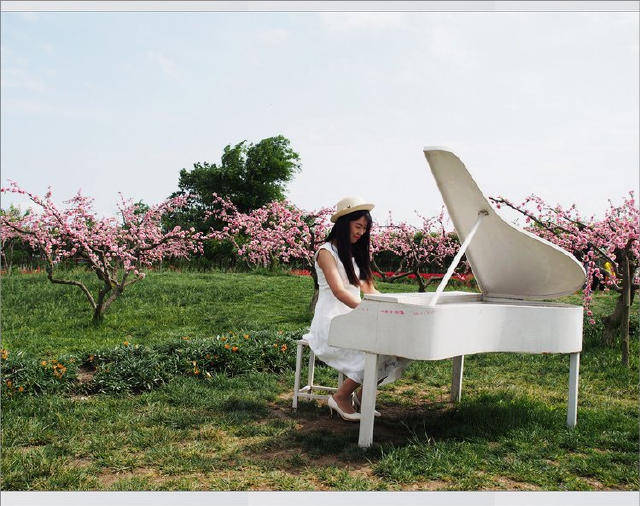 草地,少女,钢琴,花,是初夏一首清新的诗.