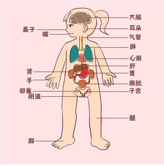 男生青春期内衣_青春期男生发育图片