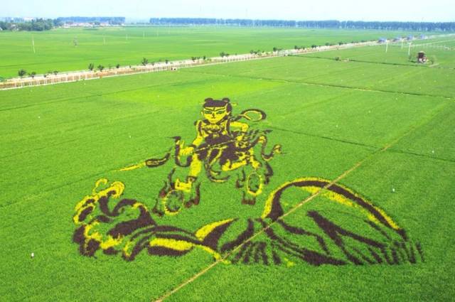 稻梦空间是以稻田文化为主题的公园,放眼望去,大片大片的麦田画别具