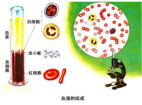 你了解现代生活引起的血液病吗?