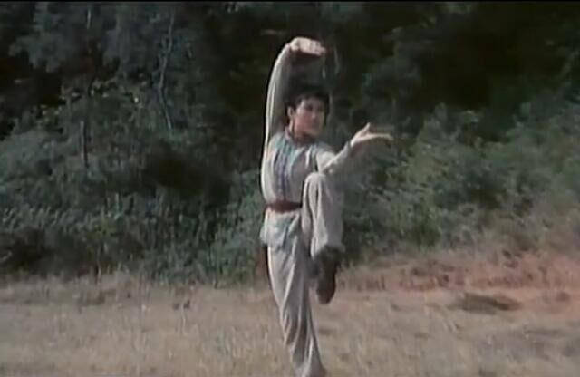 之后,由国内电影人所拍摄的一部武侠电影,影片启用了陕西武术队的全部