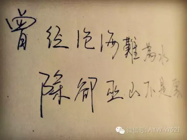 关于语文的名言