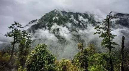 原始森林野温泉徒步(7公里) 住百花岭 d3旧街-林家铺子(穿越高黎贡山