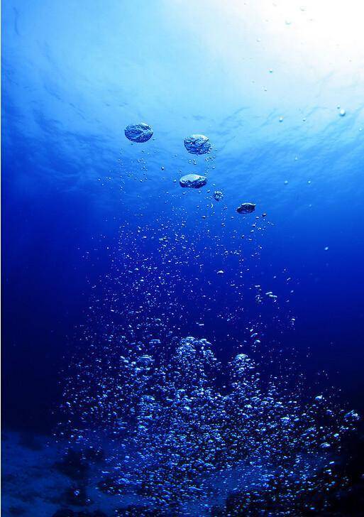 探秘真实,美丽,色彩斑斓的海底世界