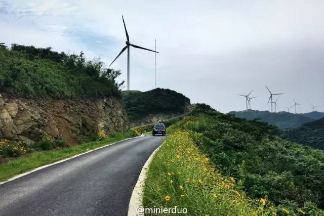 风车,花海,云雾…奉化境内有条最美公路!