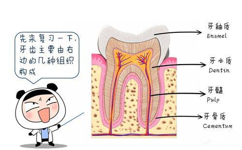 牙人口_人口普查(3)