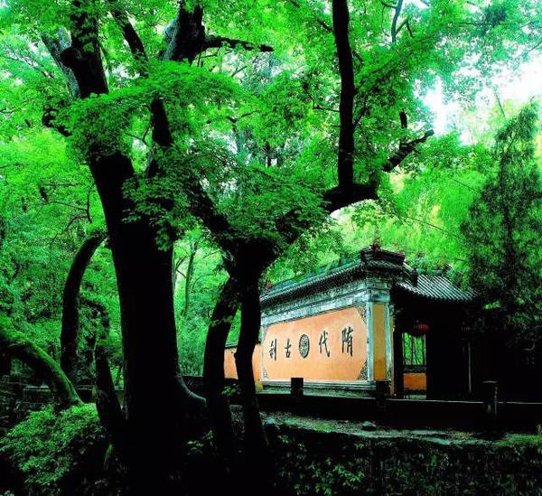 历史悠久的千年古刹—天台国清寺(5a)