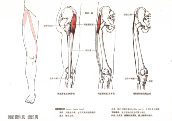 内衣侧边软骨鼓包_内衣美女