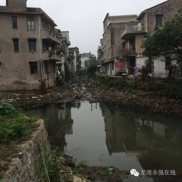 龙湾永中寺前街后和北头桥的河道实在看不下去了