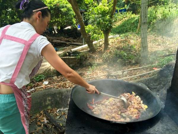 凤凰山上去野炊,杀鸡宰鸭好欢乐【世园海岛游】