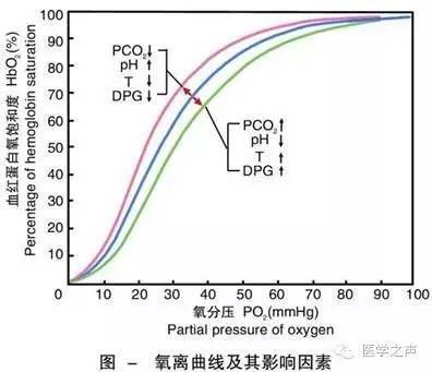 二,氧离曲线各个阶段的具体含义