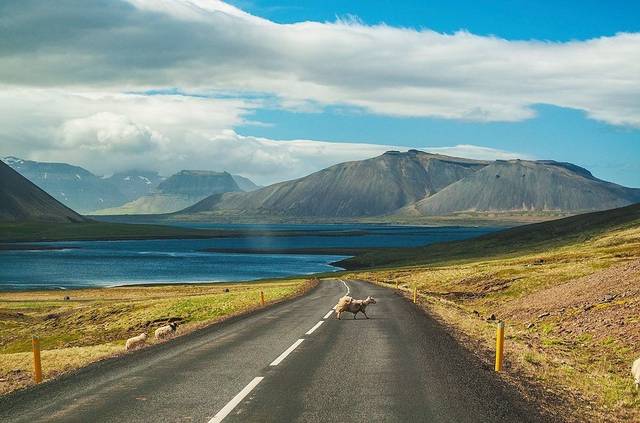 人生天地间,忽如远行客,感叹冰岛的公路风光
