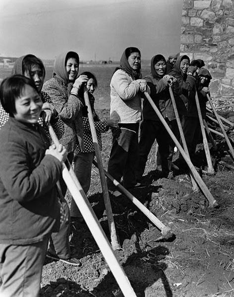 建国初期农村真实生活场景,太珍贵了