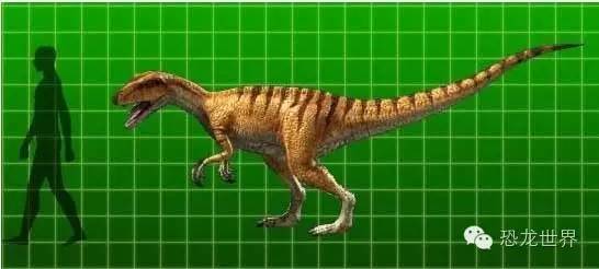黑瑞龙【艾雷拉龙】:三叠纪肉食恐龙
