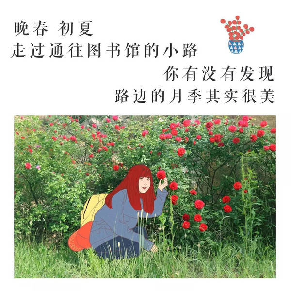 毕业季|陪青春君度过青稞岁月