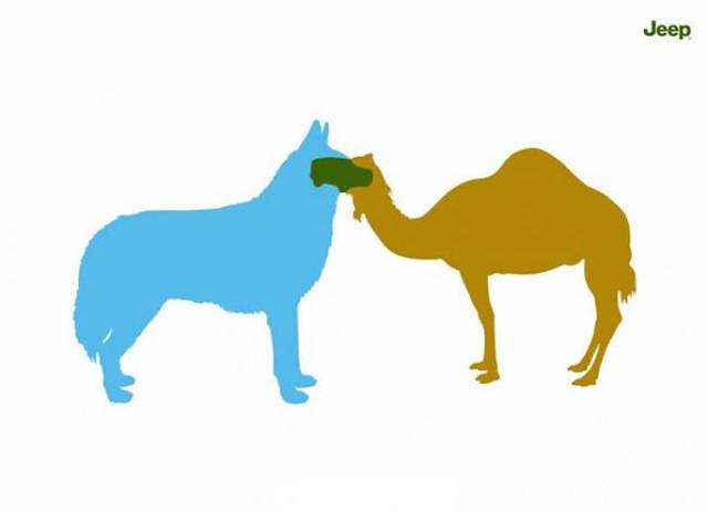 赞美骆驼的成语是什么_骆驼正品是什么标志(3)