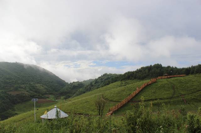 这里有亚洲最大的原始竹林镇巴草坝生态农场